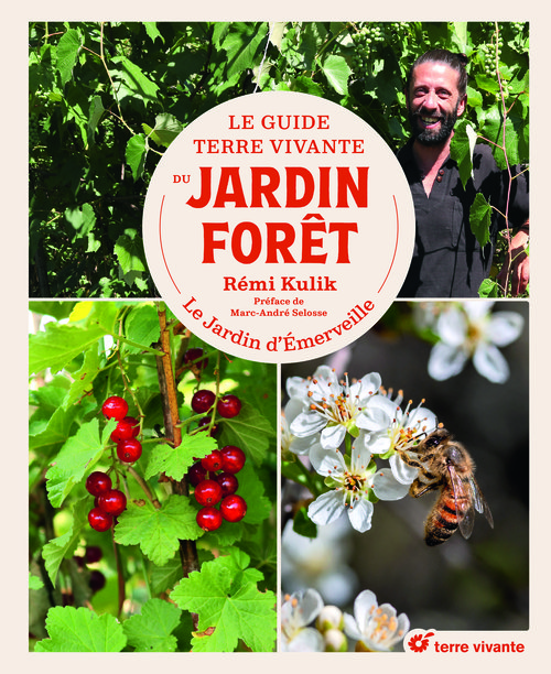 concevoir son jardin forêt2.jpg